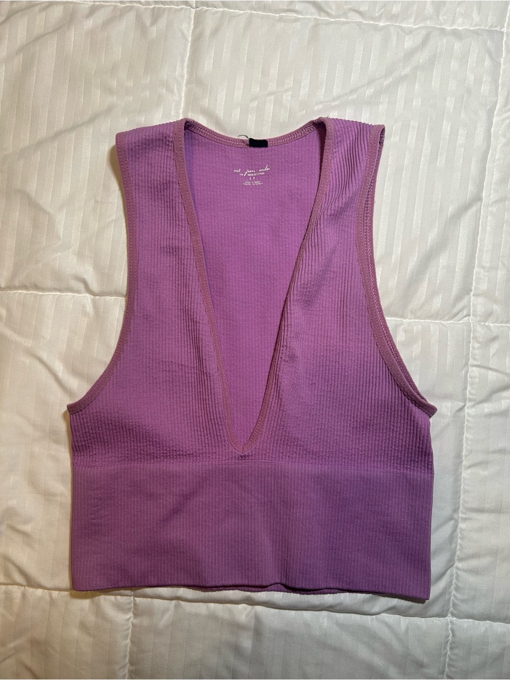 Urban Outfitters Lavender Ribbed Deep V Cropped Tank